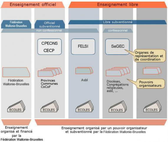 organisation ecole schema structure